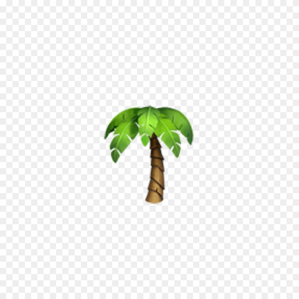 Palm Tree Clipart Emoji Iphone Palm Tree Emoji Iphone Palm Tree Emoji, Leaf, Palm Tree, Plant, Green Png