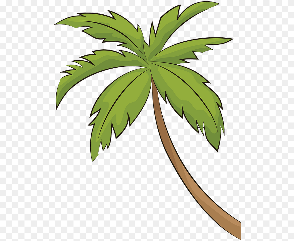 Palm Tree Clipart Download Transparent Creazilla Palm Tree Clipart, Leaf, Palm Tree, Plant, Vegetation Free Png