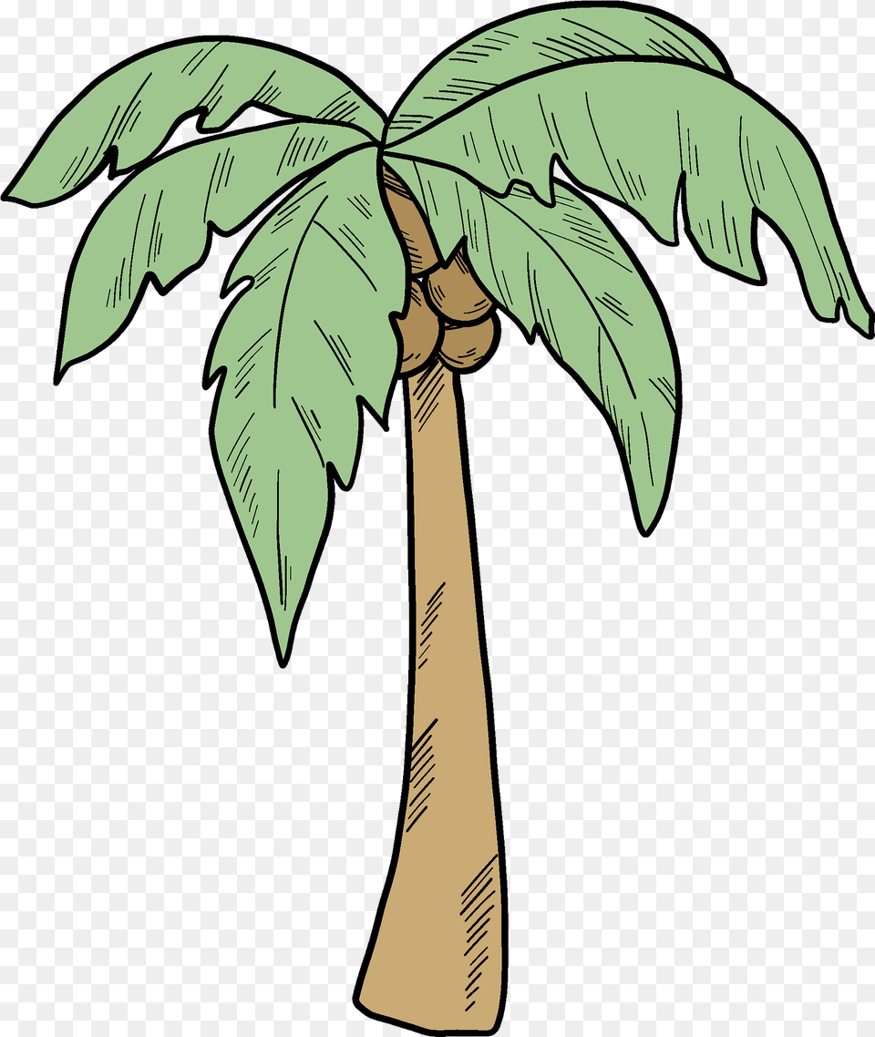 Palm Tree Clipart Fresh, Accessories, Formal Wear, Palm Tree, Plant Free Png
