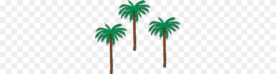 Palm Tree Clipart Jungle Foliage, Palm Tree, Plant, Vegetation, Grove Png Image