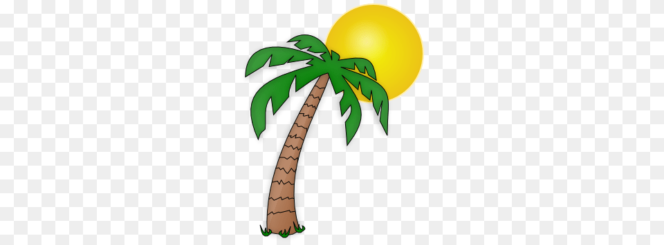 Palm Tree Clipart Moana, Palm Tree, Plant, Nature, Outdoors Free Png