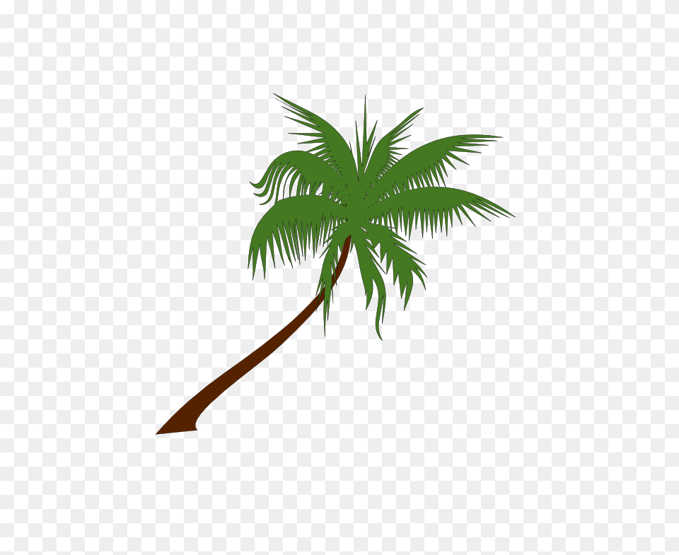 Palm Tree Clipart No Background, Palm Tree, Plant, Leaf Free Png Download