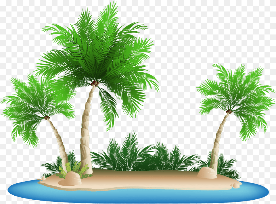 Palm Tree Clipart Palm Tree Island, Summer, Palm Tree, Plant, Vegetation Png