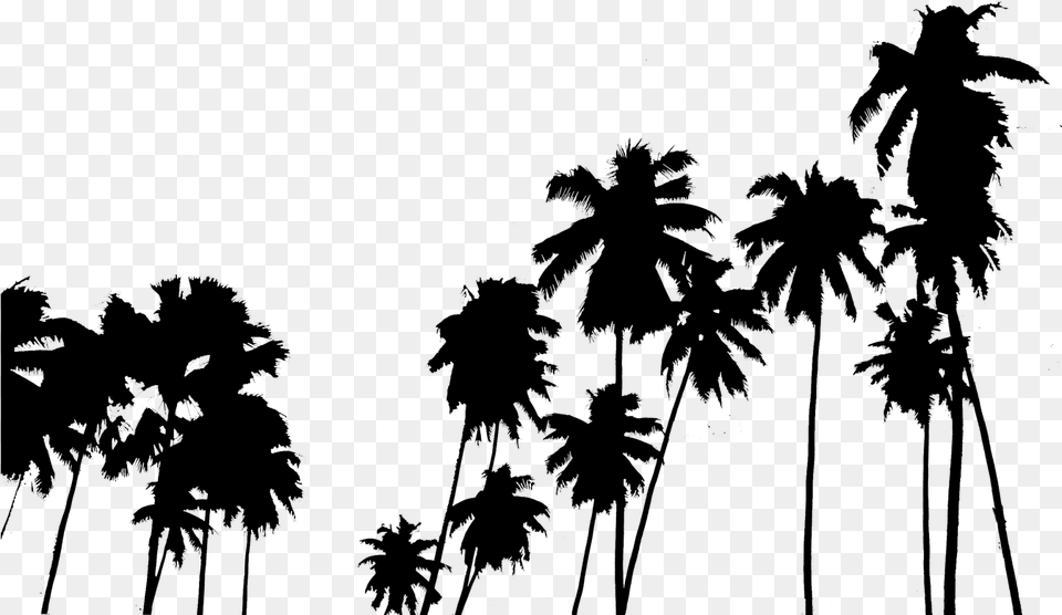 Palm Tree Clipart Panda Palm Trees, Gray Png