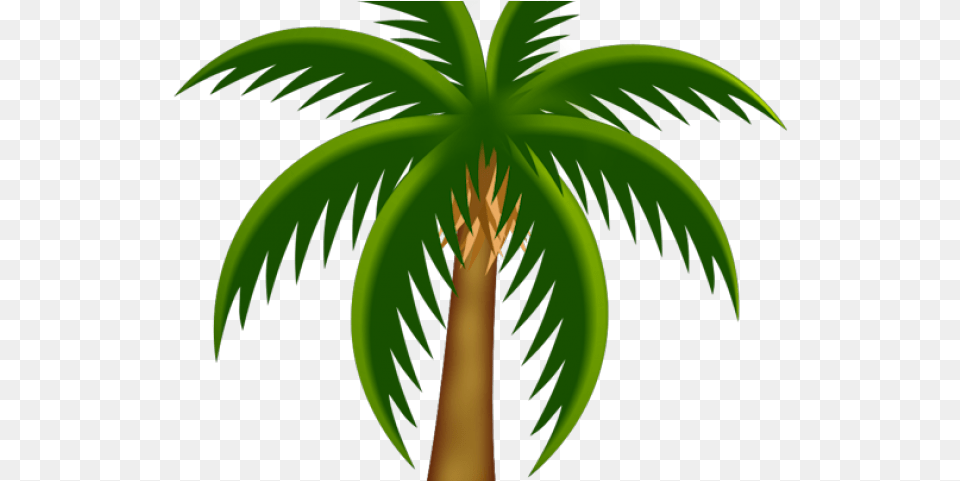 Palm Tree Clipart Pom Dates Tree Vector Drawings Of Palm Trees Colored, Palm Tree, Plant, Vegetation Free Png Download