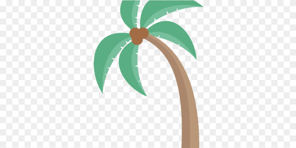 Palm Tree Clipart Simplistic, Palm Tree, Plant, Leaf, Flower Free Transparent Png