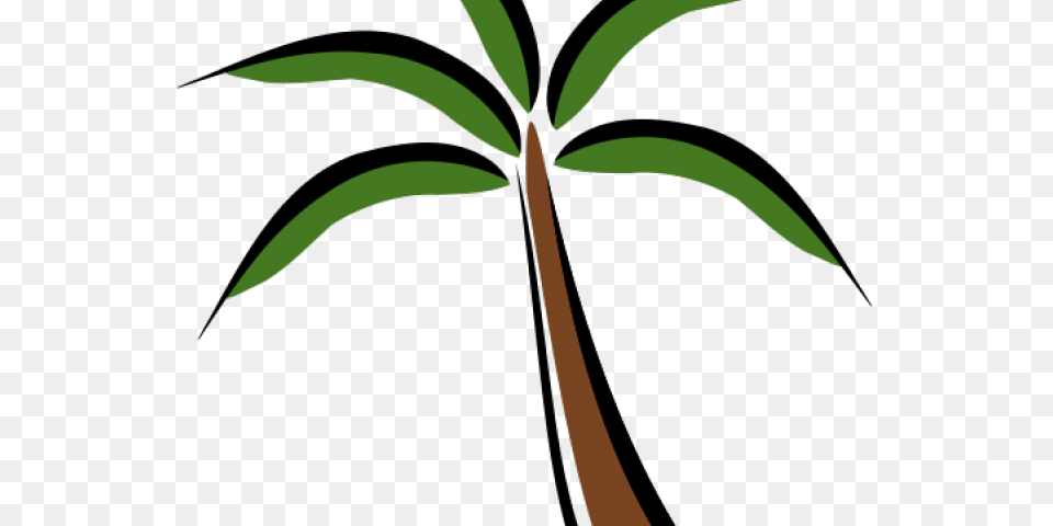 Palm Tree Clipart Terrestrial Plant, Palm Tree, Leaf Png