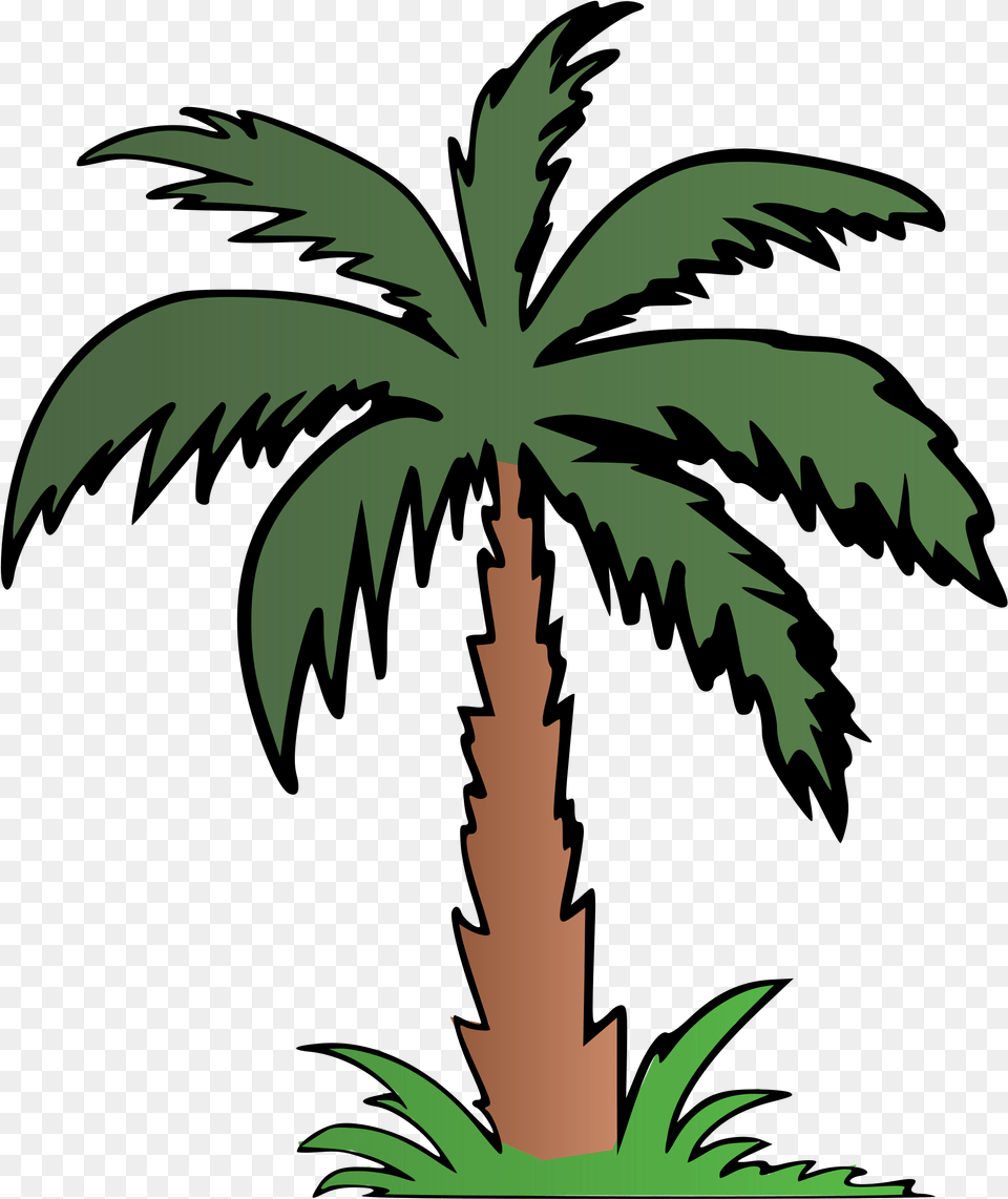 Palm Tree Clipart Terrestrial Plant Palm Tree Palm Tree Clipart Black And White, Palm Tree, Vegetation, Person, Leaf Free Png Download