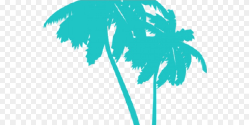 Palm Tree Clipart Top View Clip Art Stock Frond, Leaf, Plant, Palm Tree, Person Free Png Download