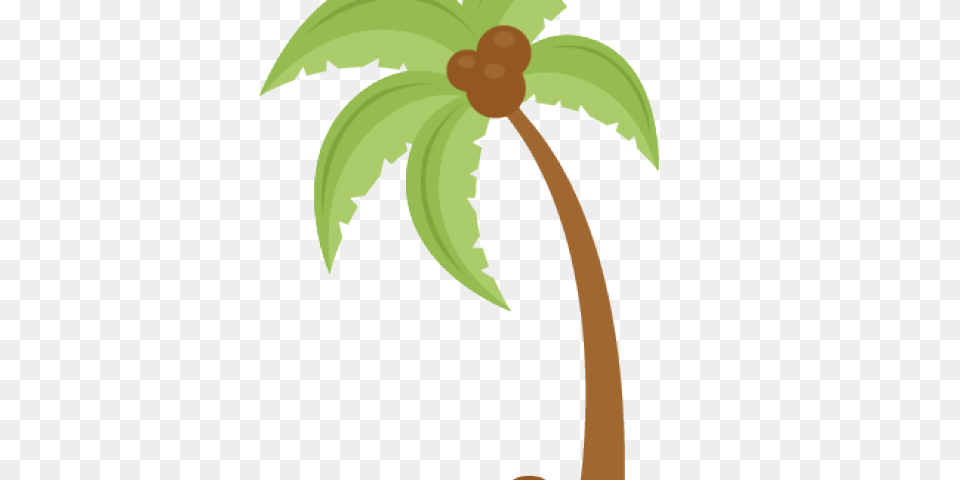Palm Tree Clipart Translucent, Palm Tree, Plant, Leaf, Flower Free Transparent Png