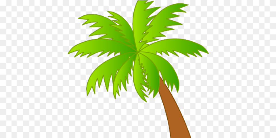 Palm Tree Clipart Translucent Palm Tree Hawaii Clip Art, Leaf, Palm Tree, Plant, Animal Png