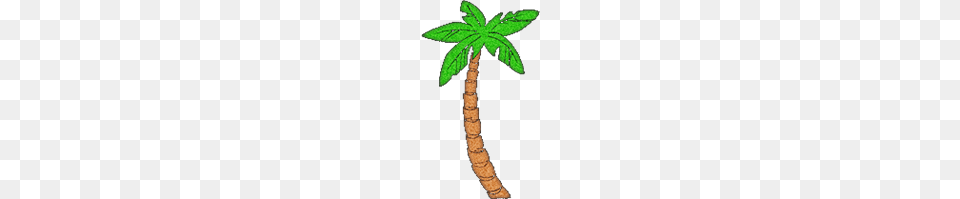 Palm Tree Clipart Transparent, Land, Rainforest, Plant, Palm Tree Png Image