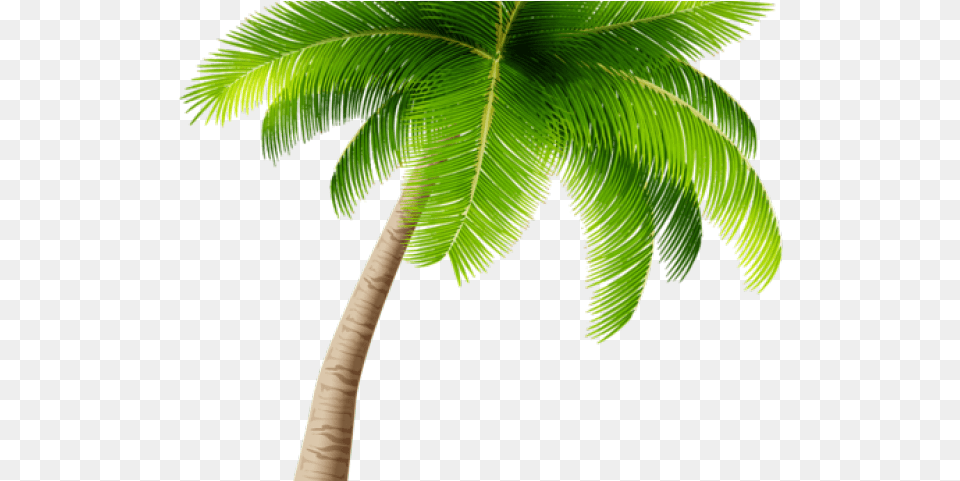 Palm Tree Clipart Transparent Transparent Background Palm Tree, Leaf, Palm Tree, Plant Free Png Download