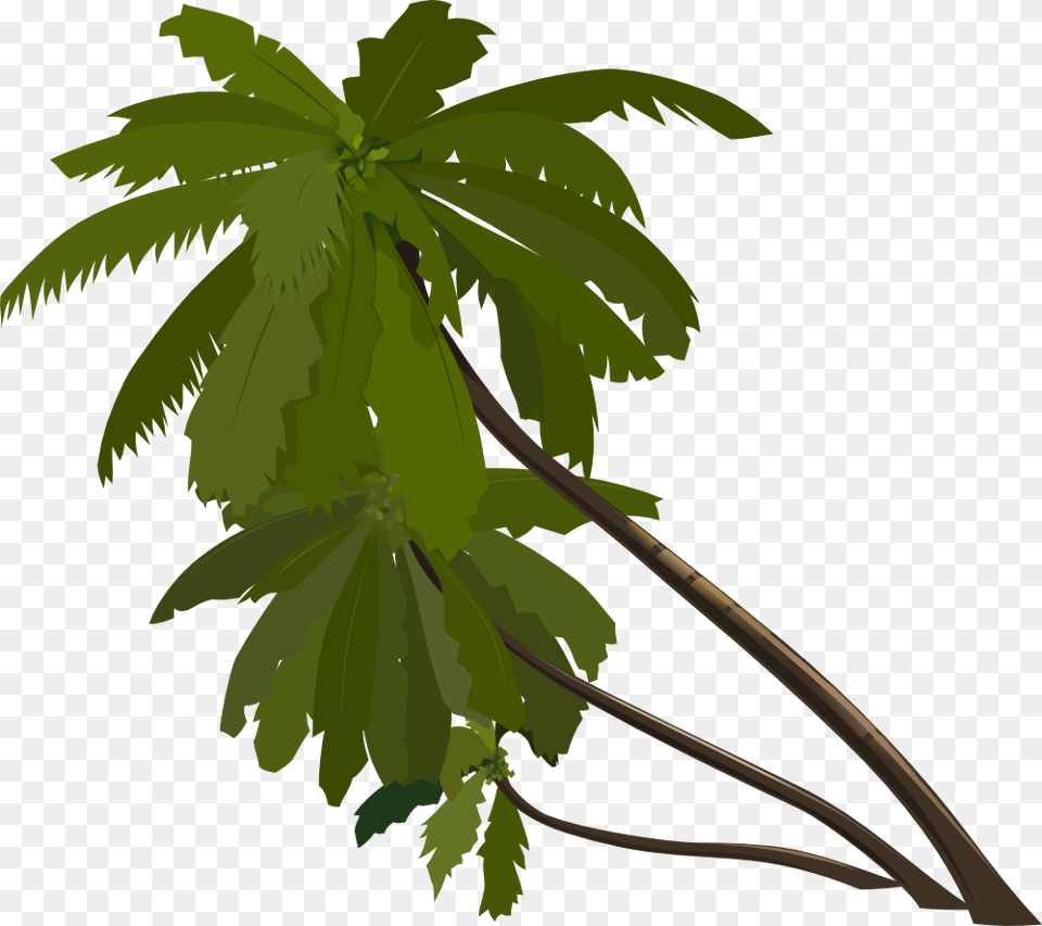 Palm Tree Clipart Web Icons, Leaf, Plant, Palm Tree, Vegetation Free Transparent Png