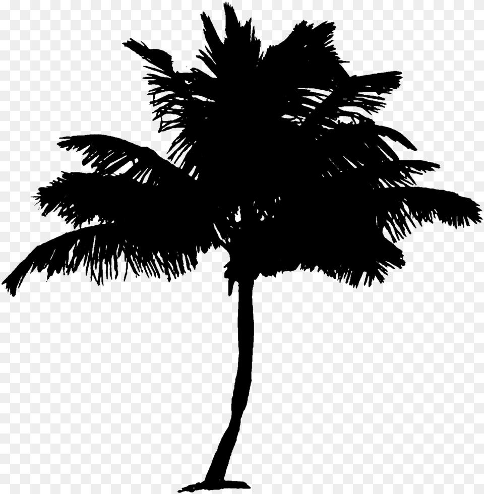 Palm Tree Coconut Palm Tree Tree Pokok Kelapa Clip Art, Gray Png Image