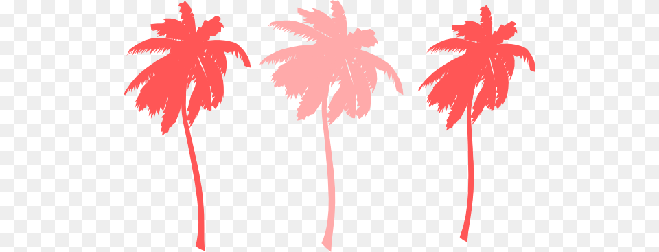 Palm Tree Colorful, Palm Tree, Plant, Nature, Outdoors Free Png Download