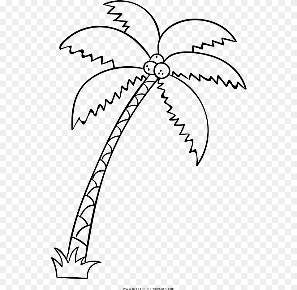 Palm Tree Coloring, Gray Free Transparent Png