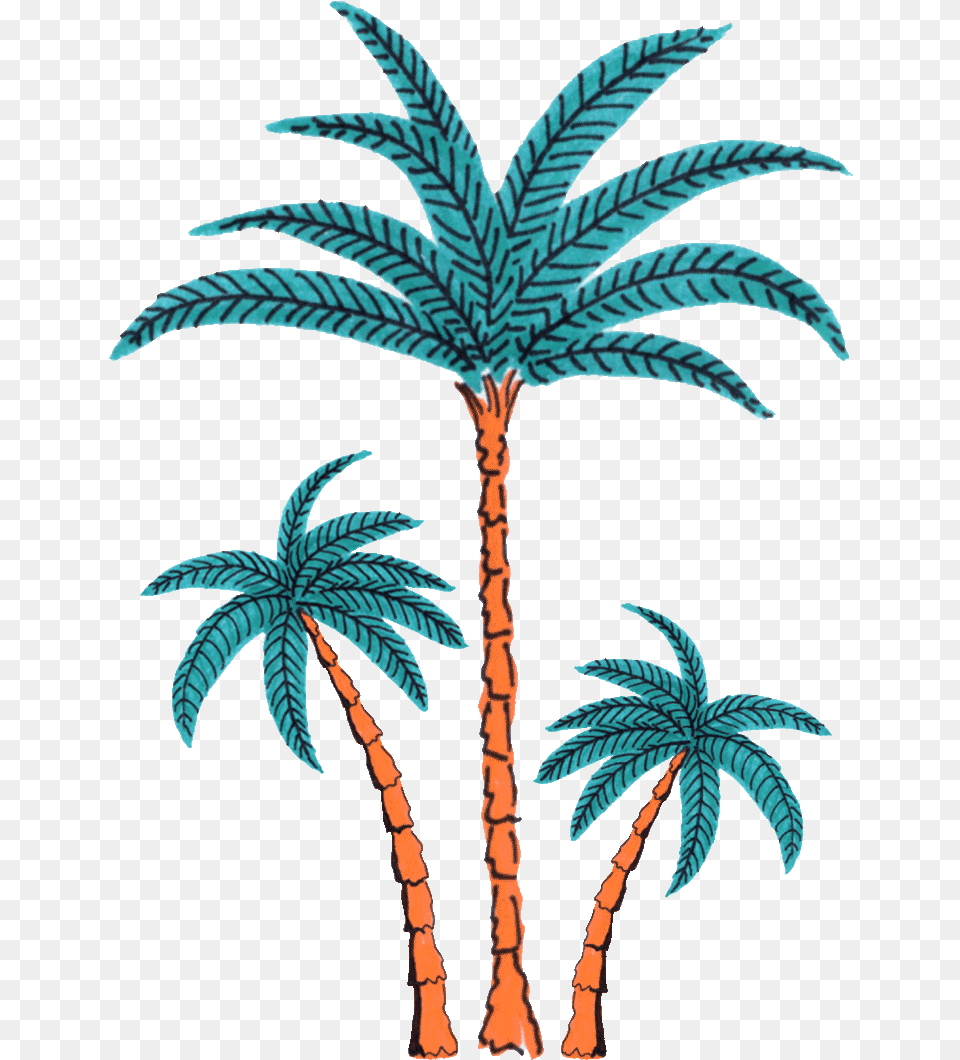 Palm Tree Dancing Sticker By Splash House Transparent Palm Tree Gif, Palm Tree, Plant, Vegetation, Art Png Image