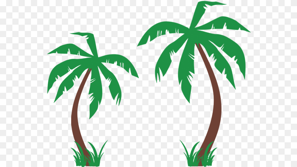 Palm Tree Decal For Wall Coconut Trees With Grass Wall Palm Tree Stickers, Jungle, Rainforest, Plant, Palm Tree Free Transparent Png