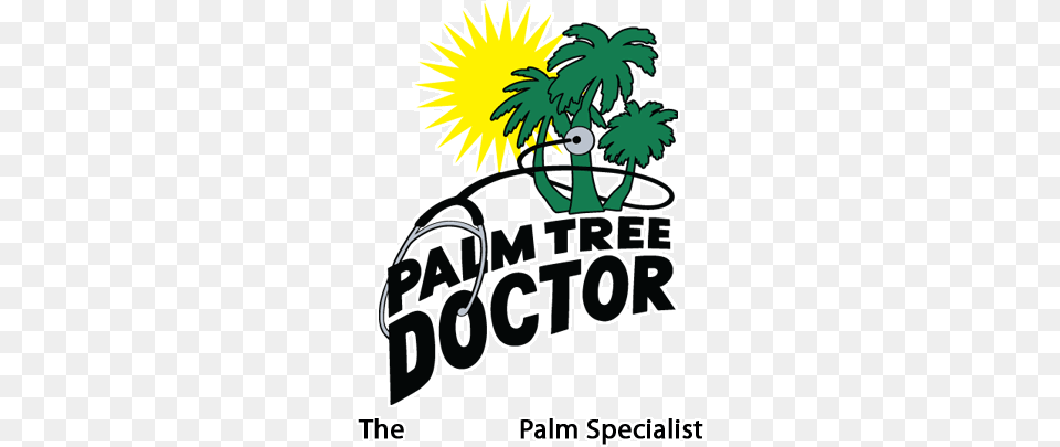 Palm Tree Doctor Royal Palm Diseases, Plant, Vegetation, Dynamite, Weapon Free Transparent Png