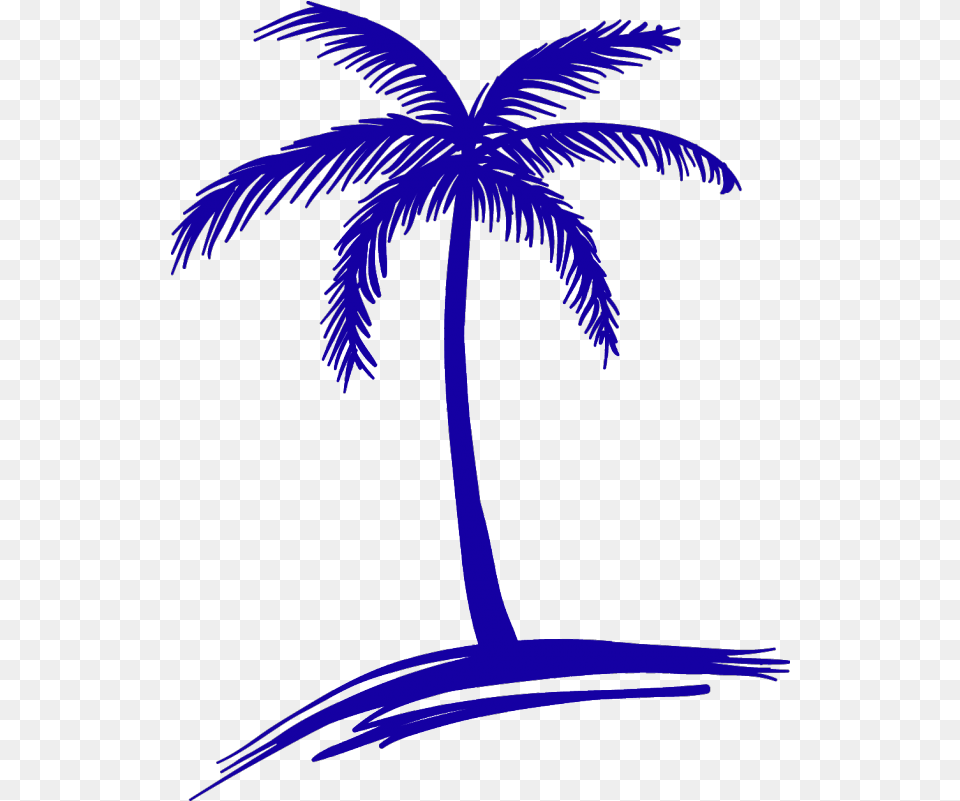 Palm Tree Drawing Easy, Plant, Palm Tree, Tropical, Nature Png Image