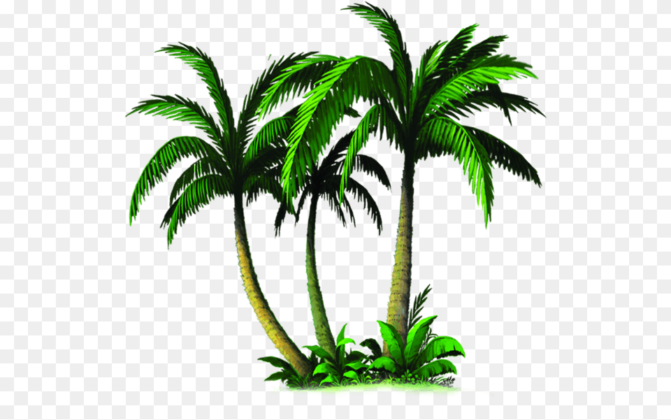 Palm Tree Emoji Palm Tree Emoji Green, Plant, Palm Tree, Outdoors Free Transparent Png