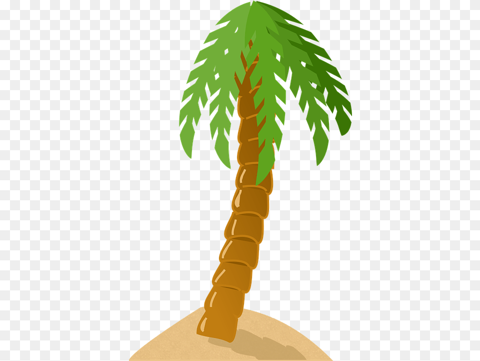 Palm Tree Exotic Tropical Island Green Sand Beach Palm Palm Tree Clip Art, Palm Tree, Plant, Person Free Png Download