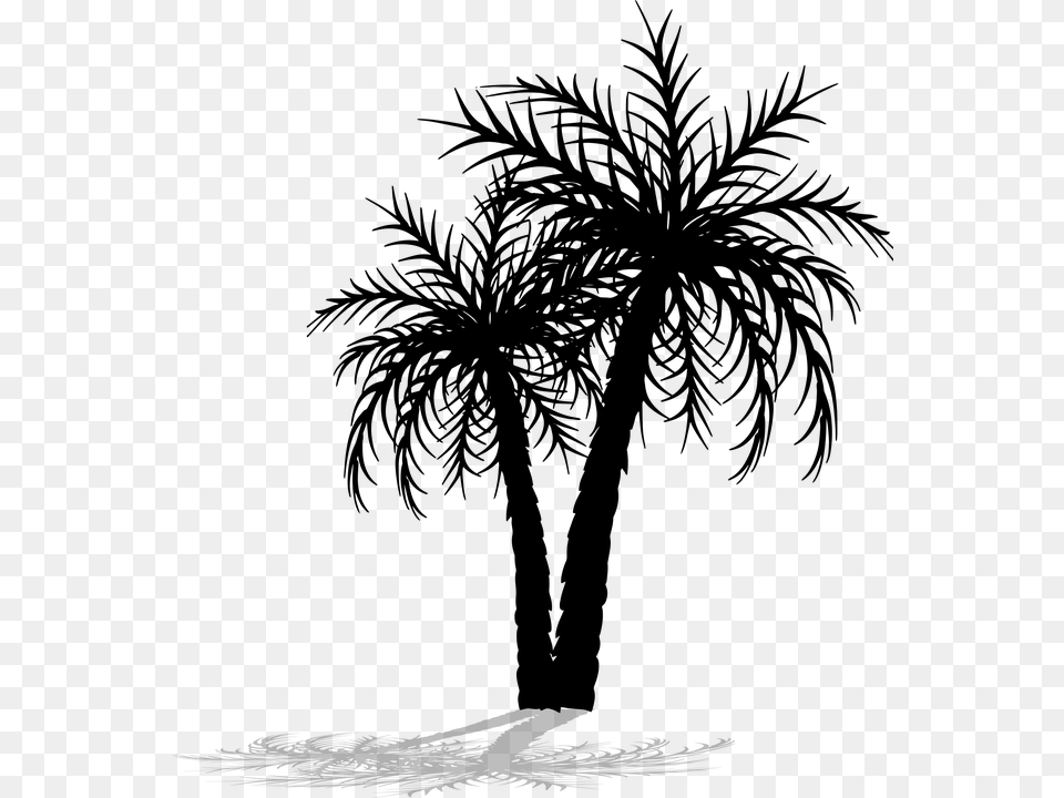 Palm Tree File, Gray Png Image