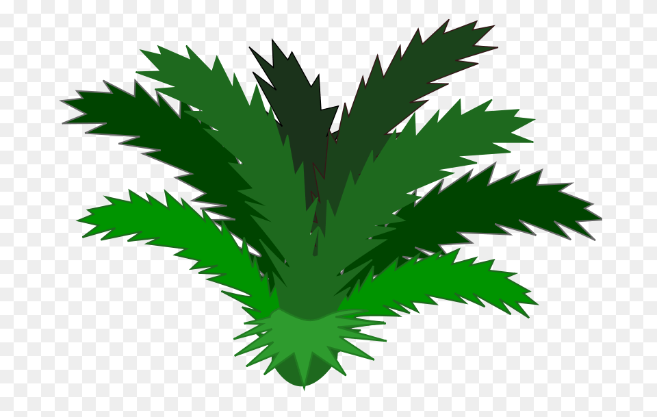 Palm Tree Flower Clip Art Gardening Flower And Vegetables, Green, Palm Tree, Plant, Vegetation Png