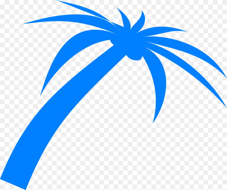 Palm Tree Fronds Tropical Nature Beach Plant Palm Leaves Vectors, Animal, Bird, Palm Tree Png Image