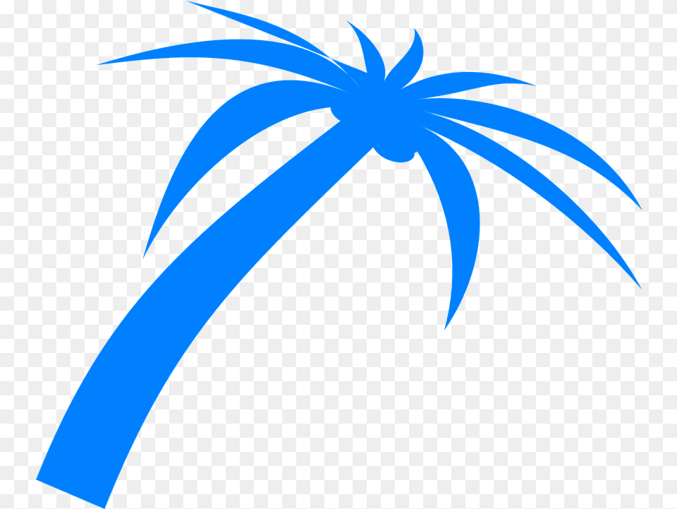 Palm Tree Fronds Vector Graphic On Pixabay Palm Leaves Vectors, Palm Tree, Plant, Animal, Bird Png Image
