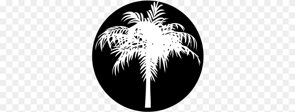 Palm Tree Gobo Projected Emblem, Palm Tree, Plant, Stencil, Silhouette Free Png Download