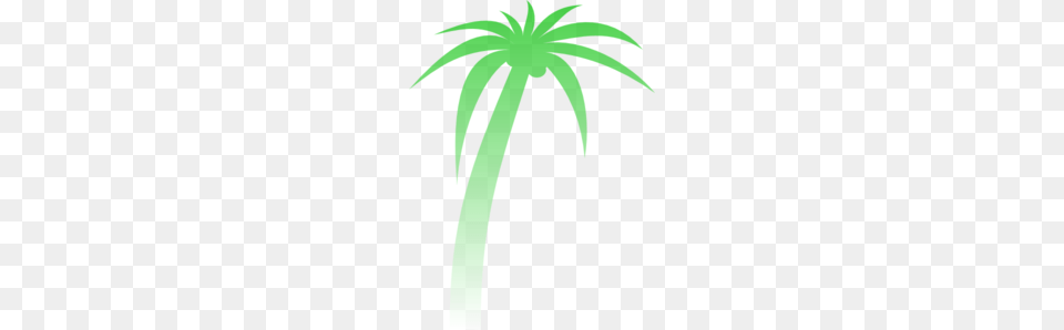 Palm Tree Gradient Clip Art, Palm Tree, Plant, Animal, Fish Png