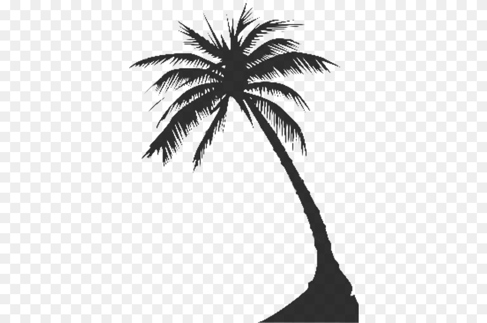 Palm Tree Graphic Palm Tree Silhouette, Clothing, Hat, Palm Tree, Plant Png Image