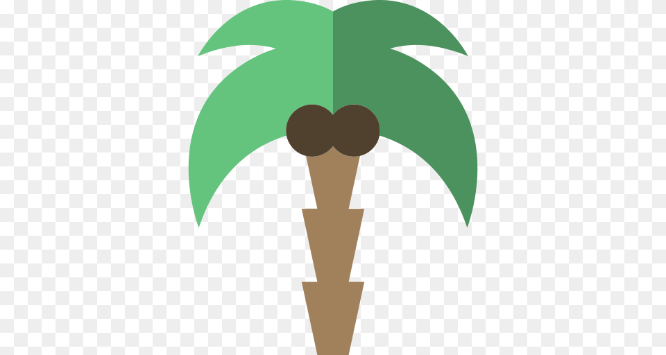 Palm Tree Icon, Device, Person Free Transparent Png