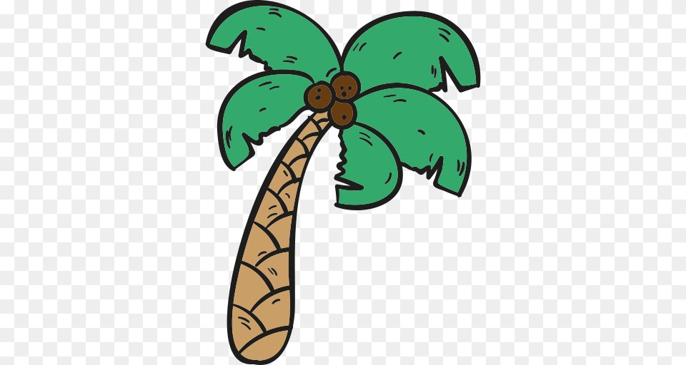 Palm Tree Icon, Palm Tree, Plant Free Png Download