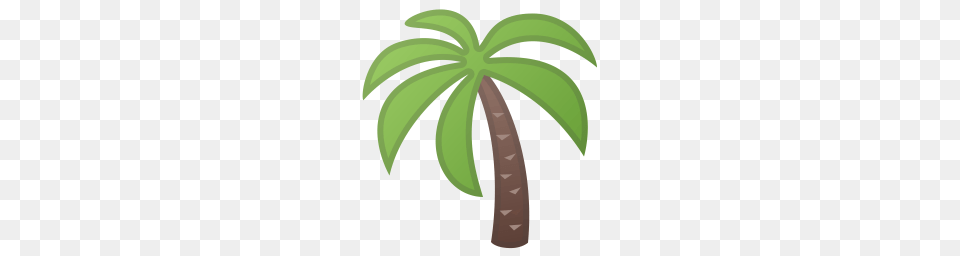 Palm Tree Icon Noto Emoji Animals Nature Iconset Google, Palm Tree, Plant Png Image