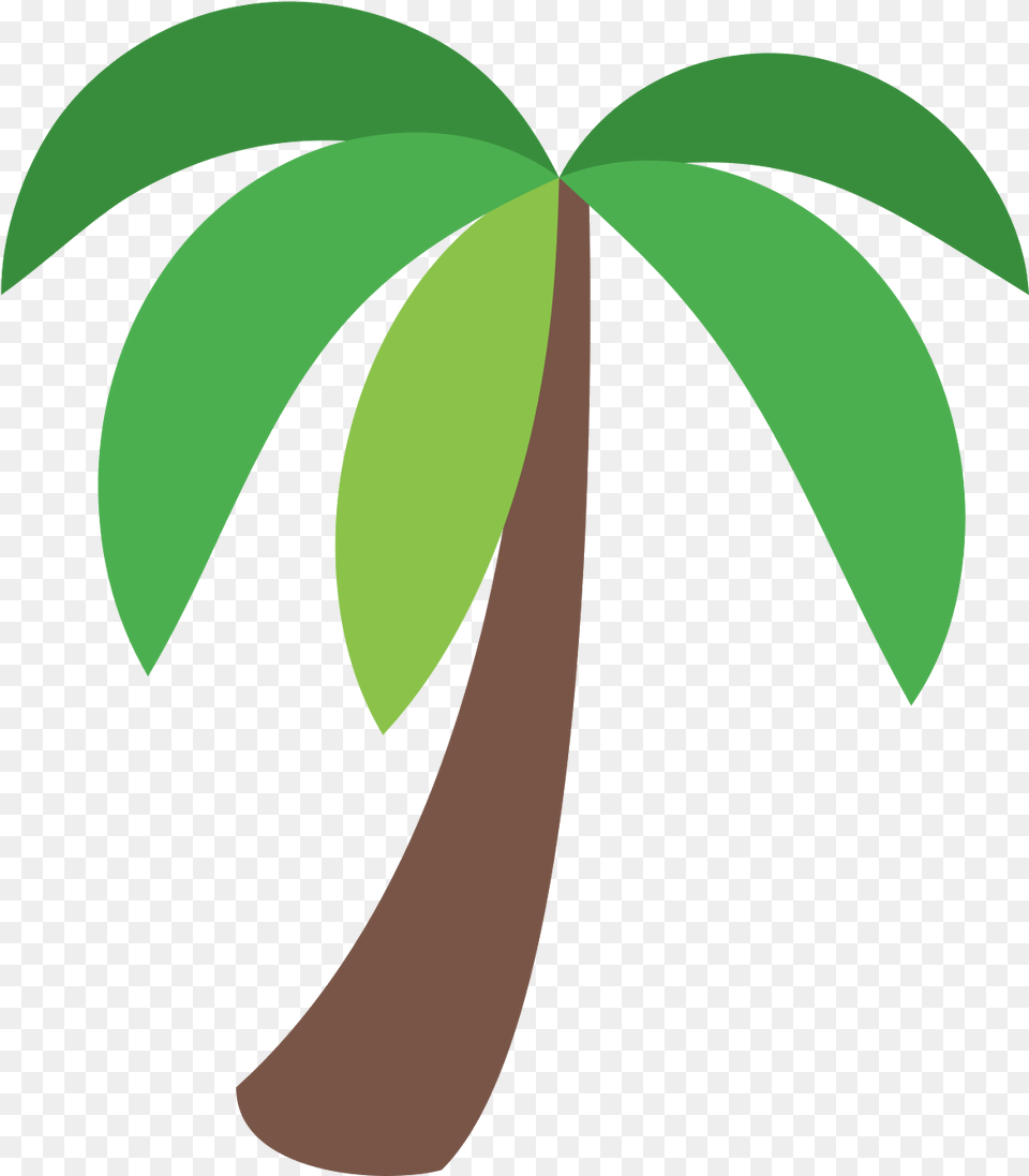 Palm Tree Icon Palm Tree Icon, Leaf, Palm Tree, Plant, Land Free Png