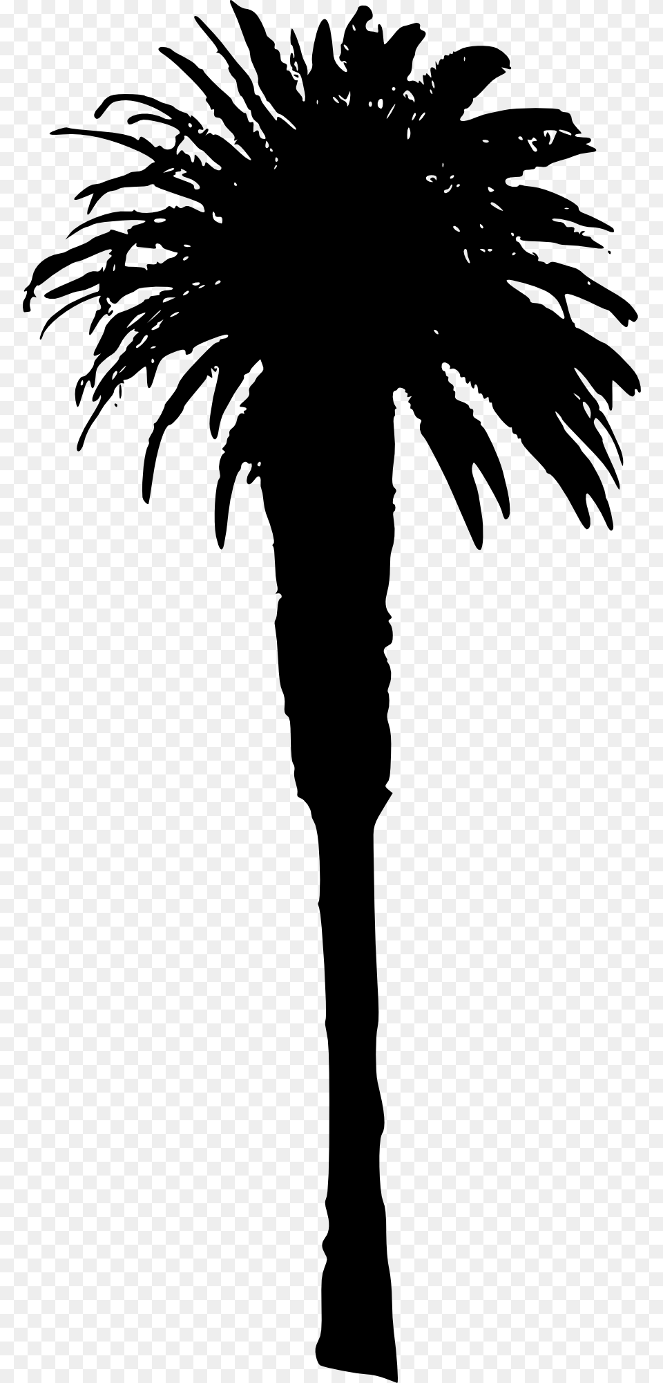 Palm Tree Illustration, Palm Tree, Plant, Silhouette, Person Free Png Download