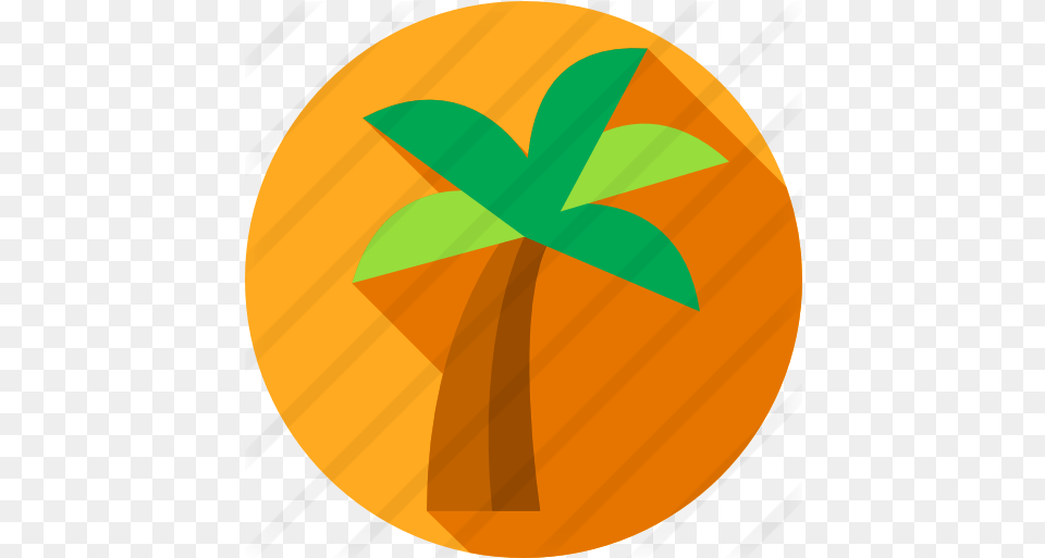 Palm Tree Illustration, Plant, Leaf, Palm Tree, Outdoors Free Png