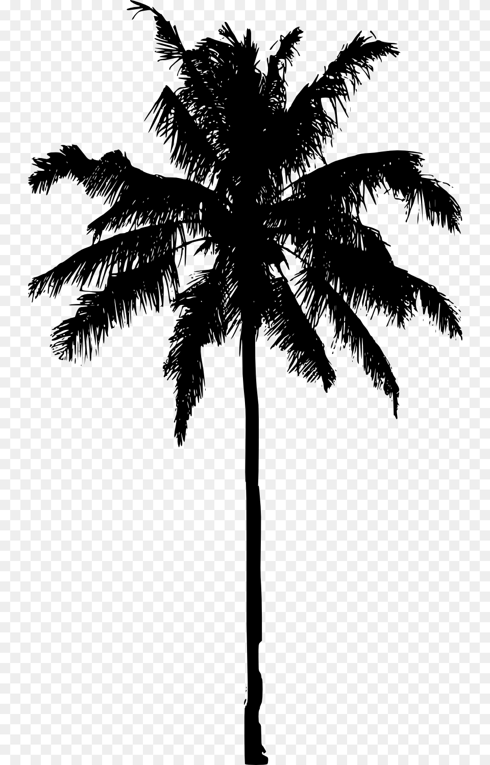 Palm Tree Image File Palm Tree Silhouette, Gray Free Transparent Png