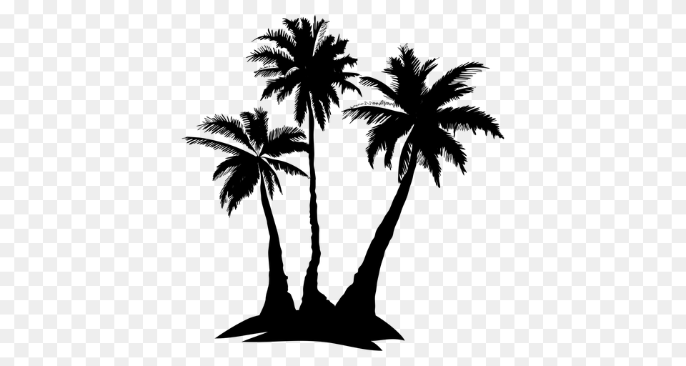 Palm Tree Images Group With Items, Gray Free Png