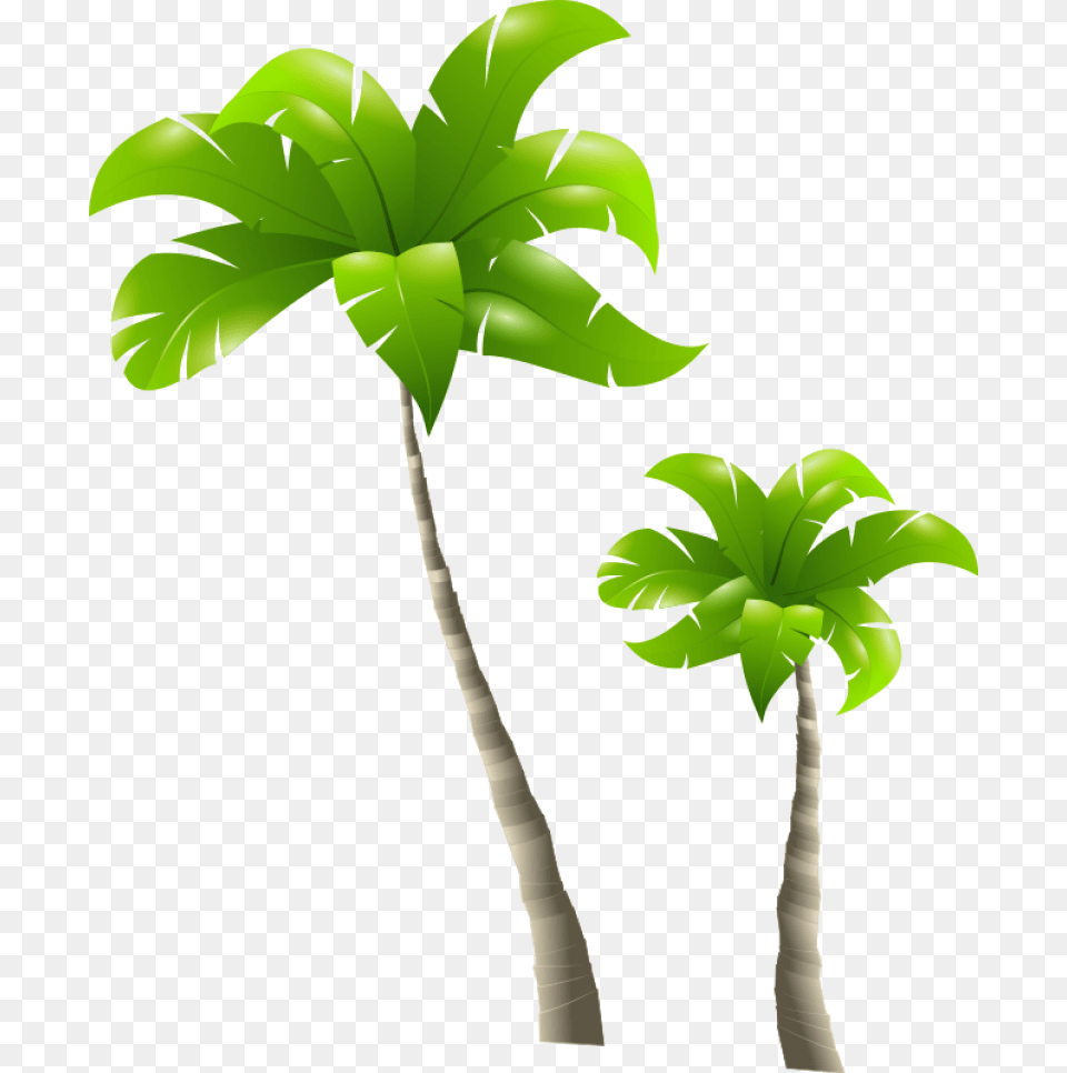 Palm Tree Images Tall And Short Clipart, Leaf, Palm Tree, Plant, Vegetation Free Png