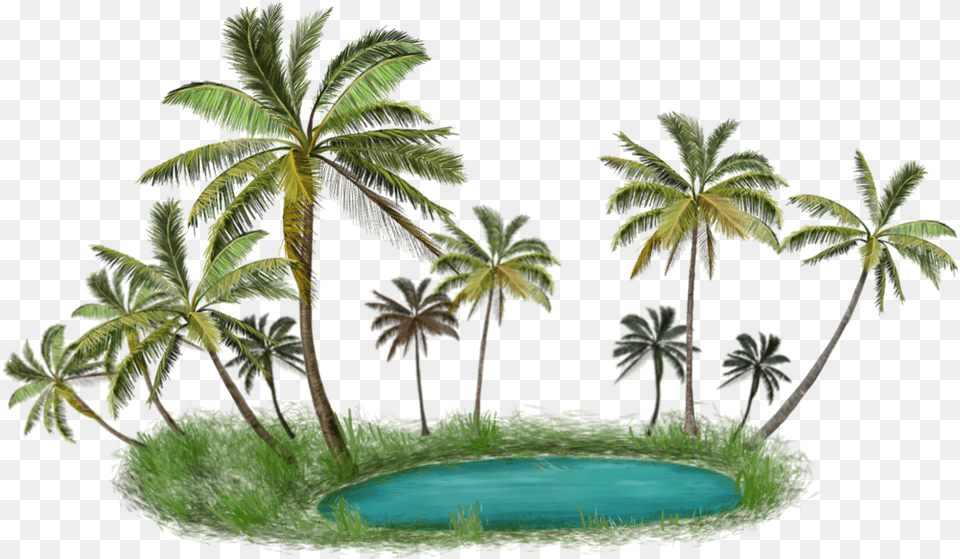 Palm Tree Island Palm Tree Island, Plant, Land, Vegetation, Nature Png