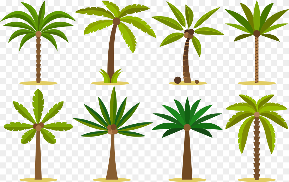 Palm Tree Island Tattoo, Plant, Vegetation, Palm Tree, Leaf Png
