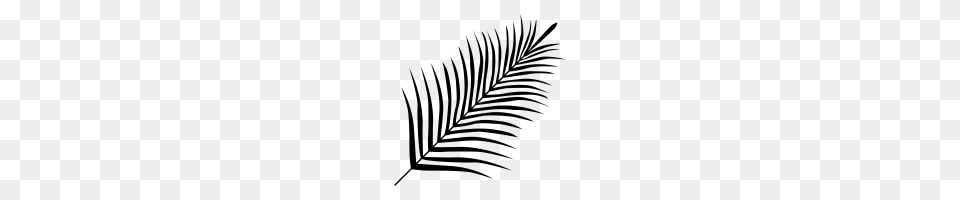 Palm Tree Leaf Icons Noun Project, Gray Png