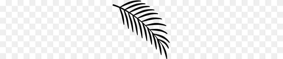 Palm Tree Leaf Icons Noun Project, Gray Free Transparent Png