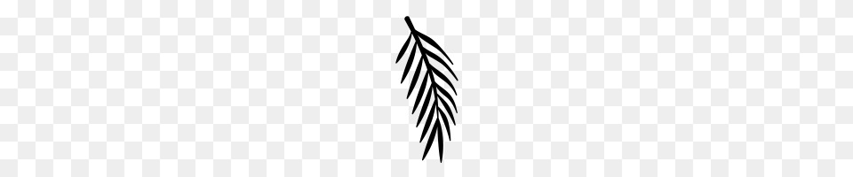 Palm Tree Leaf Icons Noun Project, Gray Free Png
