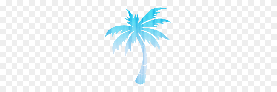 Palm Tree Legacy Icon Tags, Curtain, Shower Curtain Free Png