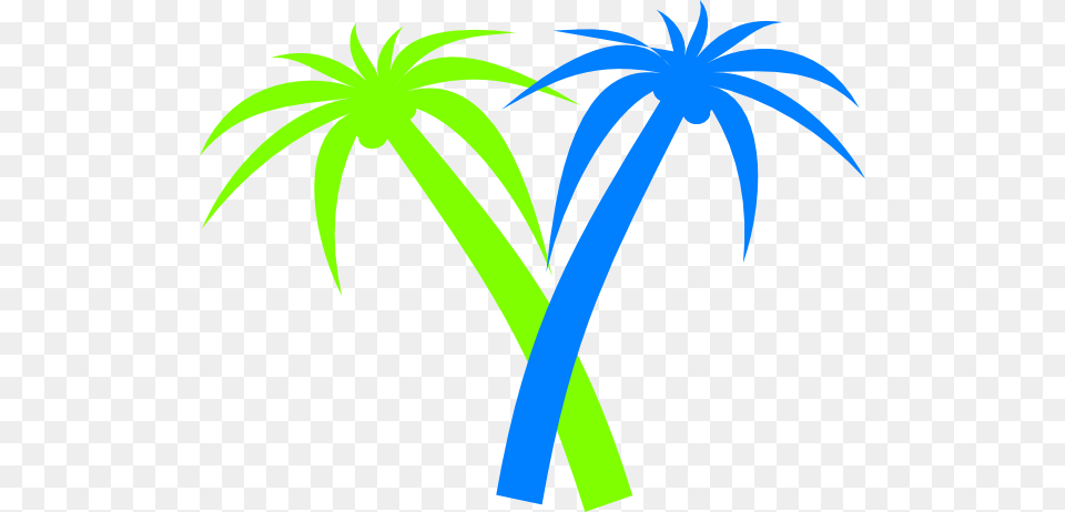 Palm Tree Line Art, Palm Tree, Plant Png Image